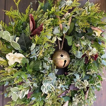 Tiny Chotevice 2 Campo de lujo